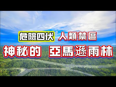 【粵講越謎】| 危機四伏，人類禁區！神秘的亞馬遜雨林！ |  #懸疑 #未解之謎 #超自然事件 #廣東話 #獵奇#神秘