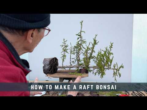 How To Make A Raft Bonsai
