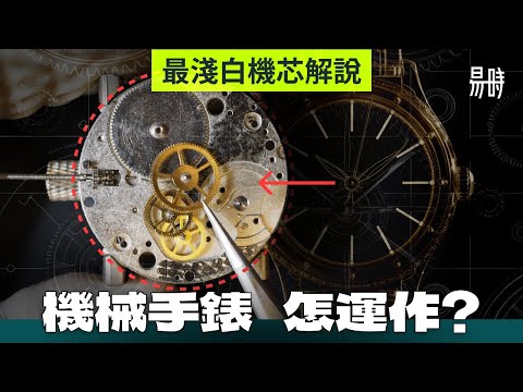 極簡單手錶結構+運作原理解說💡擒縱?發條?專業名詞讓你分得清