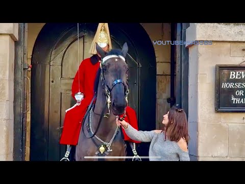 Top Six Moments King’s Guard Shouted At Rude Tourists