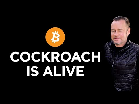 🌟BTC Thrives, MSM dies, New PTs & Premium Data! 📈