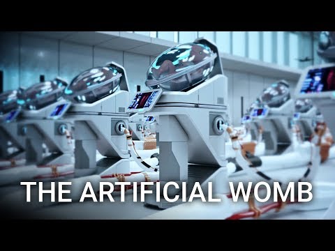 The Artificial Womb