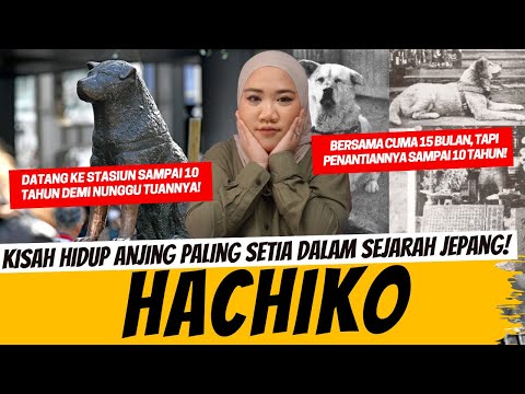 HACHIKO - SAAT CINTA SEEKOR HEWAN MENGUBAH SEJARAH SEBUAH KOTA!