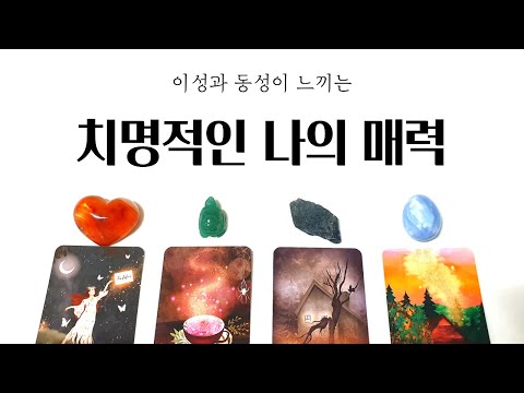 [타로] 동성과 이성이 느끼는 치명적인 나의 매력