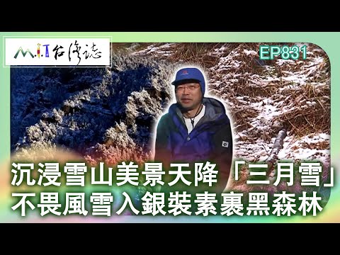 沉浸雪山美景天降「三月雪」 不畏風雪入銀裝素裹黑森林｜臺中市和平區 麥覺明【@ctvmit831集】