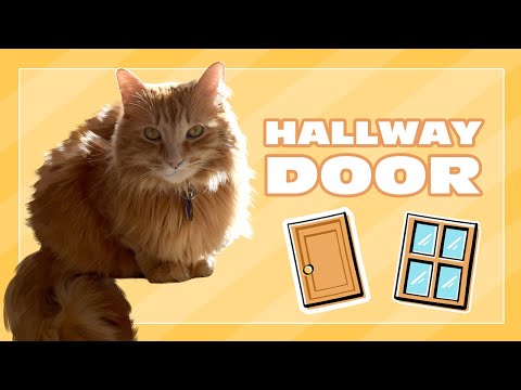 Hallway Door | Early Question Answering with Justin