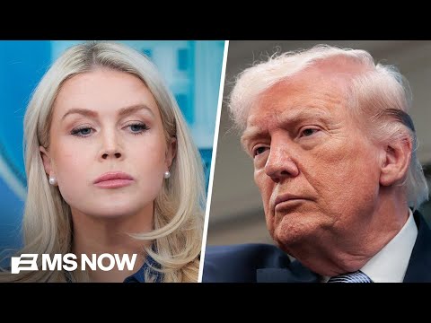 Leavitt: Reports that Strait of Hormuz is closed are 'false'