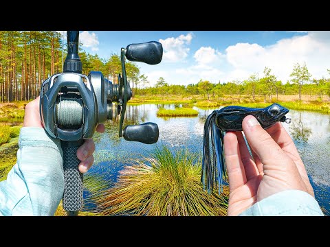 Fishing ONLY Topwater Lures For MONSTER Bass (Nonstop Action)