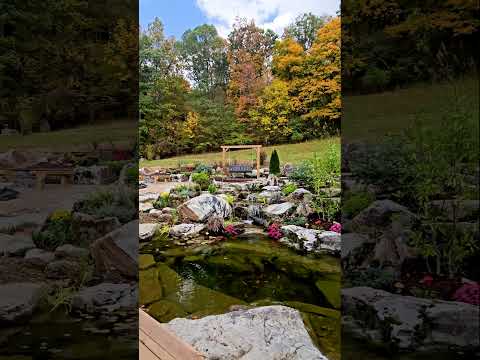 Yard to Wildlife Oasis Transformation