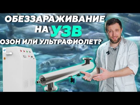 Все что НУЖНО ЗНАТЬ об обеззараживании В СИСТЕМЕ УЗВ