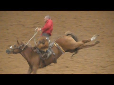 Ranch Broncs - 2018 Coors Cowboy Club Ranch Rodeo - Friday