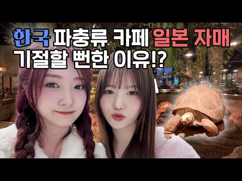 비명만 100번 지른 파충류 카페🐍 일본 자매는 끝까지 버틸 수 있을까? | 파충류카페 | 미유 | 세리나 | 일본자매