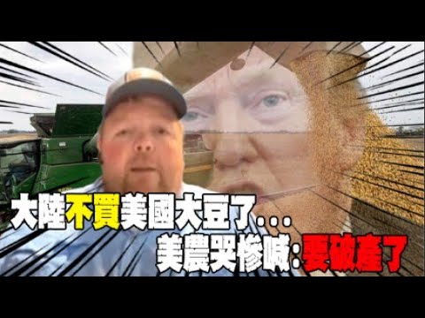 大陸不買美國大豆了...哭慘! 美農民曝真實心境直言:2027年我們恐面臨大規模破產