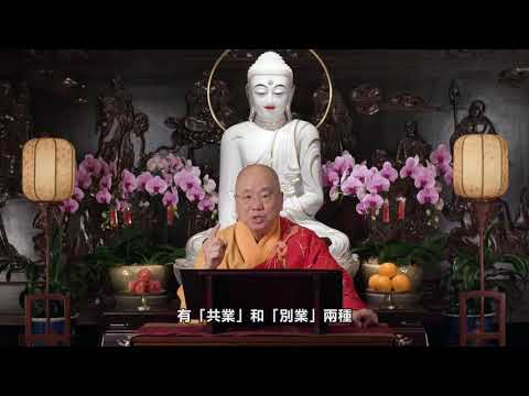 三界無安，罪苦充滿：觀成法師開示如何面對逆境和煩惱 (部分有字幕)