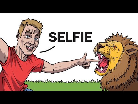 The Silliest Ways People Died