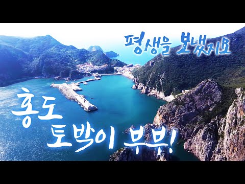여기가 곧 우리 세계죠~ 바다는 우리 삶이고~ 홍도는 내 운명이어라 #어영차바다야 #바다 #섬 #홍도