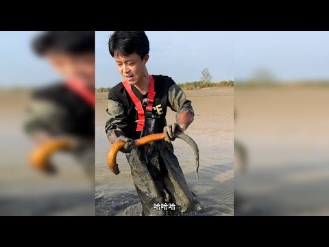 花500块包下别人抓过的塘，没想到里面还有上斤货的鳝鱼？