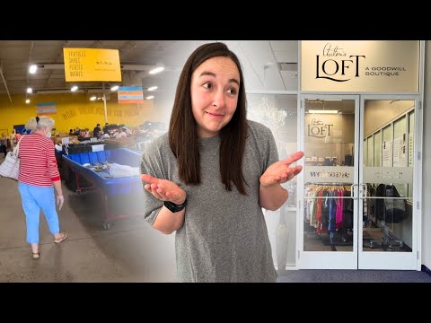Bins VS Boutique: Which Goodwill Has Better Stuff?