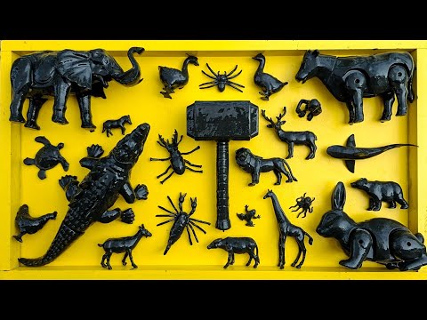 Cleaning animals cows, ducks, geese, chickens, elephants, chimpanzees, lions, camels, crocodiles,...