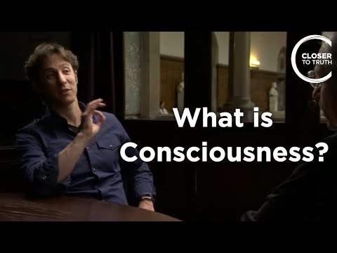 David Eagleman - What Is Consciousness?
