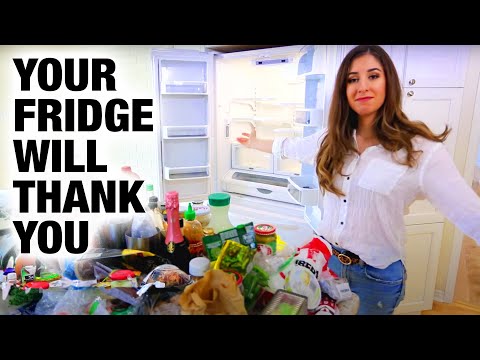 How to Clean a Fridge (Spring Cleaning 2022)