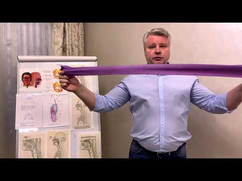 Как правильно дышать | Все о вокальном дыхании | Примеры и упражнения