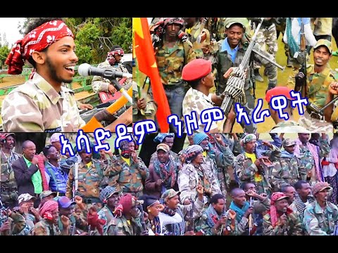 New Tigrigna Music Hailush Araya | ኣሳድዶም ነዞም ኣራዊት ሰራዊት (ኣርቲስት ስውእ ጅግና ተጋዳላይ ሃይሉሽ ኣርአያ)