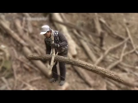 The Secret to Our Delicious Grilling "Kishu Charcoal"