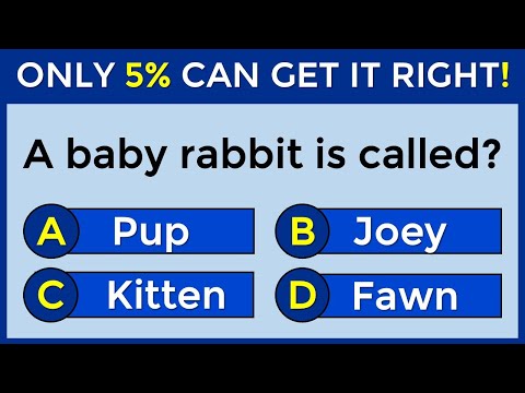 ONLY 5% CAN SCORE 100% | Vocabulary Challenge #41