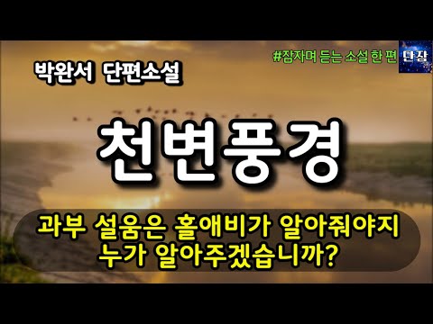 과부 설움은 홀애비가 알아줘야지 누가 알아주겠어? [천변풍경] 박완서 단편소설  #책읽어주는남자 #오디오북  #책과함께하는하루단잠