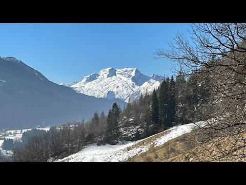 Tea with a Druid  346: the Need for Taking Refuge