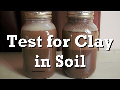 Test for Clay in Soil