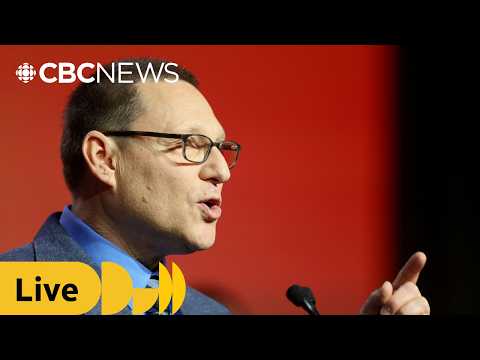 Lewis holds first news conference as NDP leader