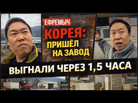 ЗАВОД В КОРЕЕ Послал корейцев на х..й! Или надо был терпеть?