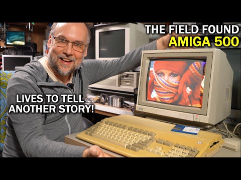 From Death's doorstep to alive again: I really love this Field Found Amiga 500