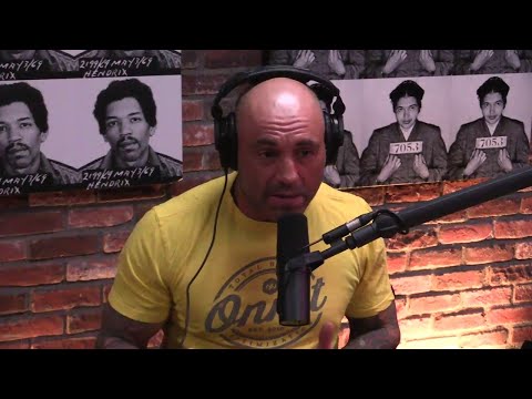 Joe Rogan & Gad Saad - Islamic Immigration || Joe Rogan