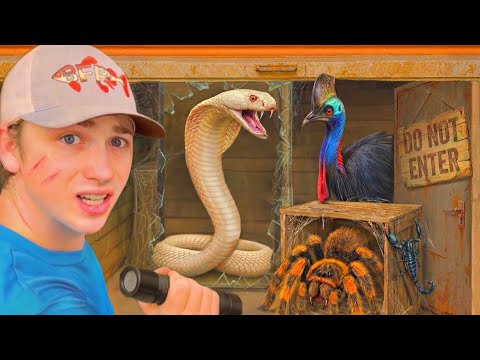 I Found Animals in an Abandoned Storage Unit…