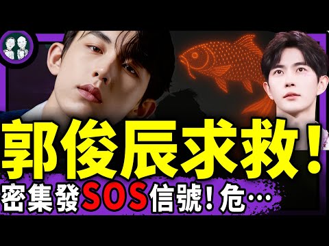 郭俊辰、易烊千璽處境危急？血色生日含淚直播；于朦朧為很多“軍火玩偶”扛了？靈媒轉來小魚冤魂警告；藝人們淚目了…（老北京茶館/第1461集/2025/10/13）