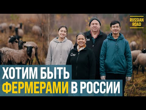 🇺🇸 Променяли Америку на 120 овец в России 🐑 | РУССКАЯ ОЗВУЧКА