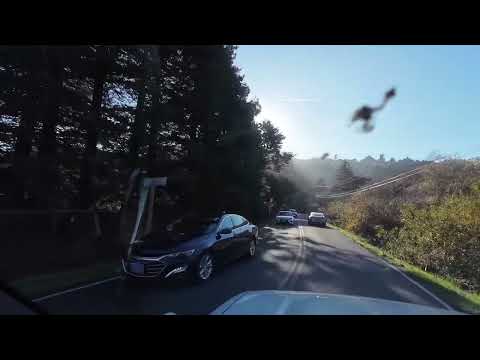 El impresionante Océano Pacífico una aventura Mass