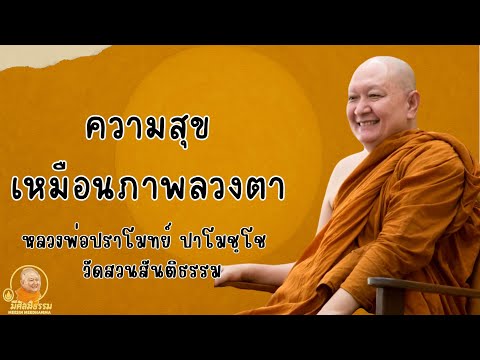 ความสุขเหมือนภาพลวงตา:: หลวงปู่ปราโมทย์ ปาโมชฺโช  วัดสวนสันติธรรม