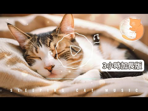 【100%無廣告貓咪放鬆音樂】放鬆心情丨舒緩焦慮 丨睡眠音樂丨令貓咪和人都可以安然入睡 （3小時加長版）