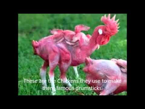 KFC Behind The Scenes