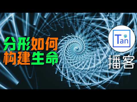 From Mathematical Monsters to the Code of Life: How Fractals Construct Life