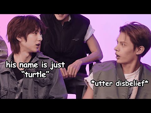 cortis english interviews that cured my boredom