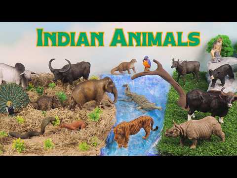 Meet the Indian Animals | Build a Jungle River Diorama (Real Running River!)