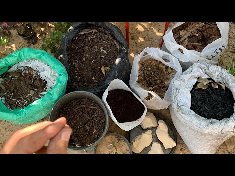 طريقة عمل أفضل تربة للنباتات والاشجار المنزلية