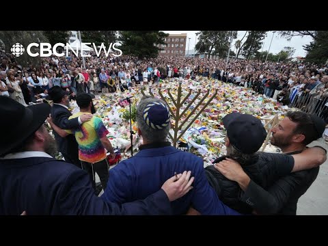 Accused Bondi Beach gunman charged with 59 offences, including 15 counts of murder
