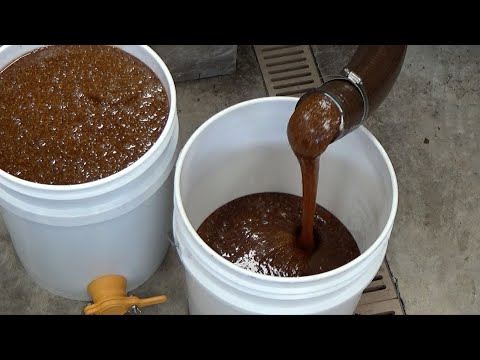 Extracting 192 pounds of honey...in December.