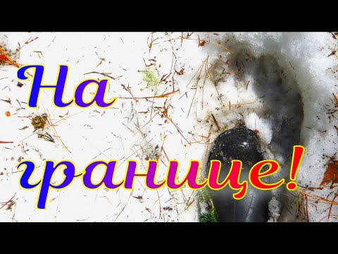 Тайга весна отправился на медвежью границу медведи активно ходят территорию пока не метят скоро гон